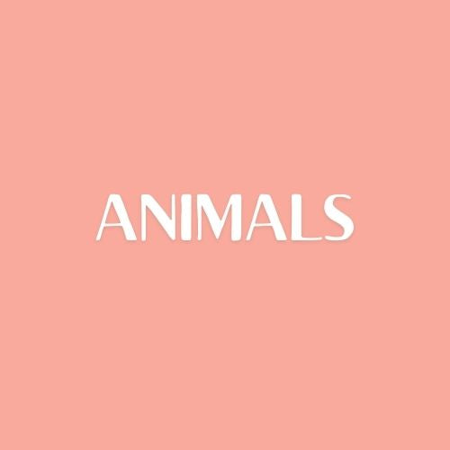 Animals
