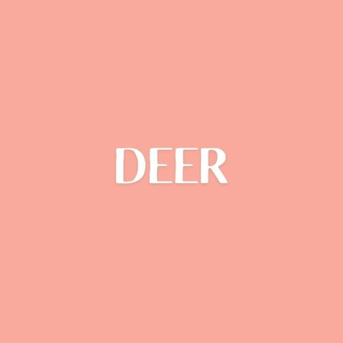 Deer