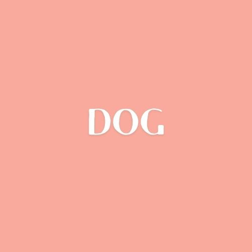 Dog