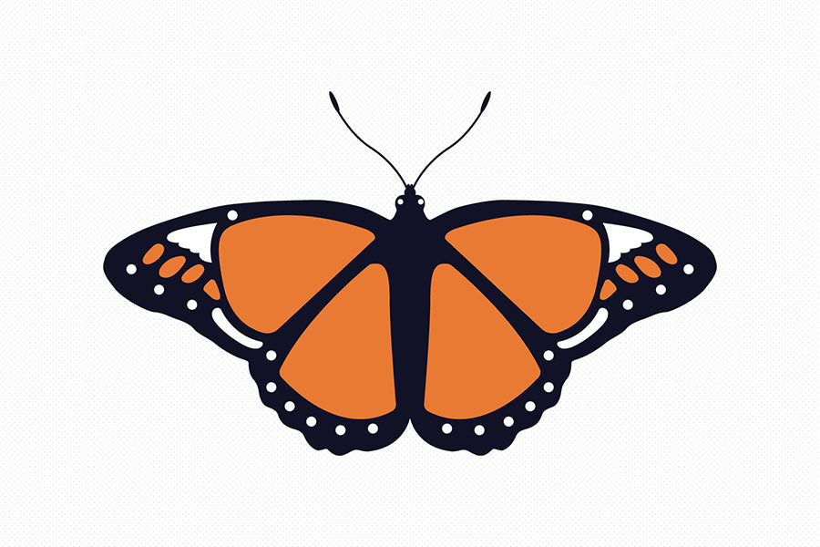 Layered Butterfly SVG Clipart Bundle