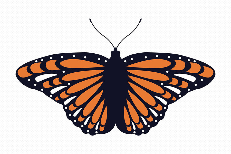 Layered Butterfly SVG Clipart Bundle