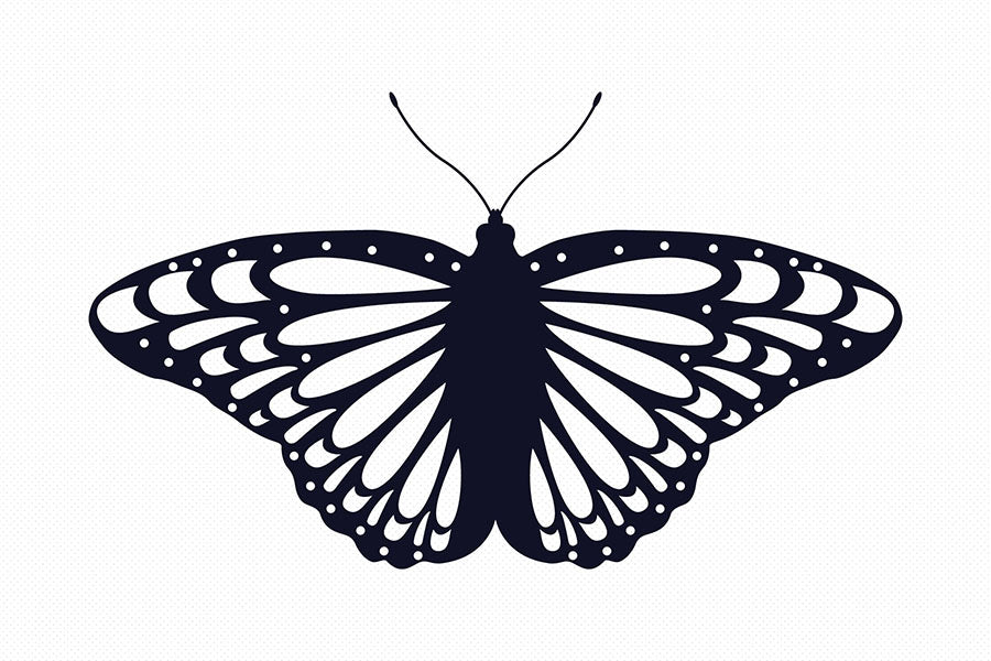 Layered Butterfly SVG Clipart Bundle