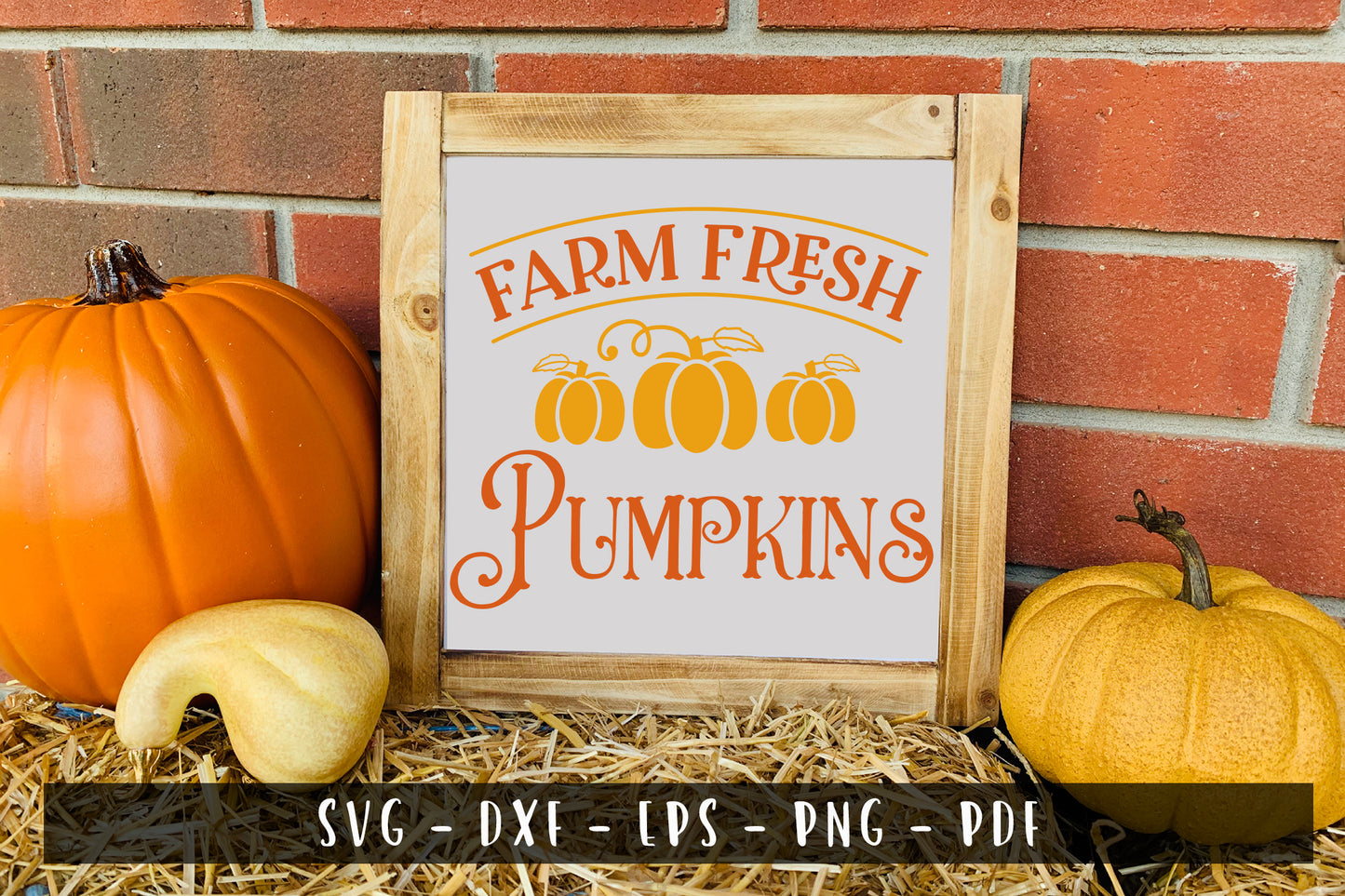 Farm Fresh Pumpkins | Fall Sign SVG