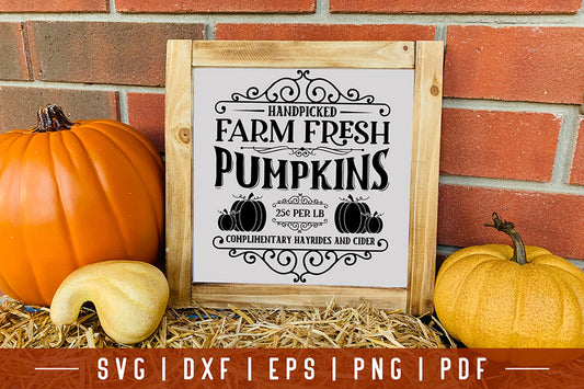 Vintage Pumpkin Sign SVG, Handpicked Farm Fresh Pumpkins