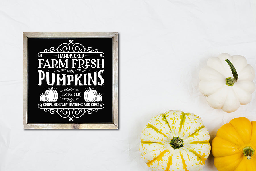 Vintage Pumpkin Sign SVG, Handpicked Farm Fresh Pumpkins