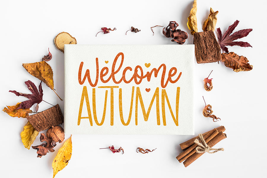 Fall SVG Mega Pack