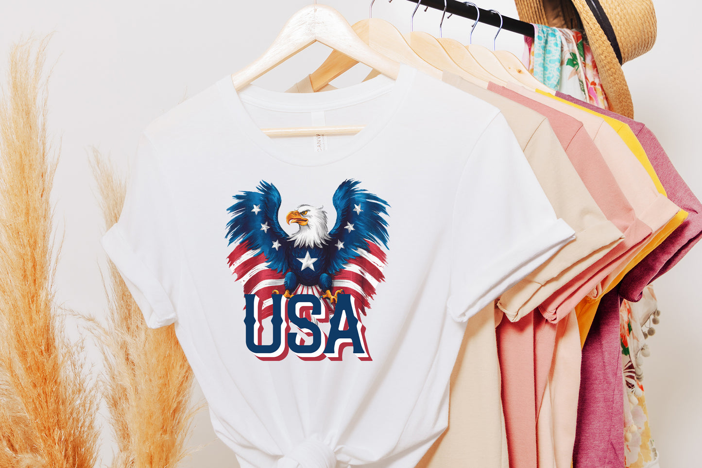 USA, Eagle 4th of July Sublimation PNG