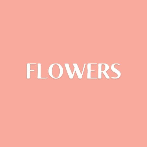 Flowers & Plants