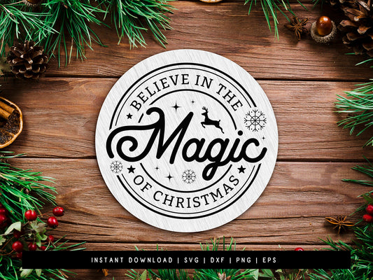 Believe in the Magic of Christmas Farmhouse Sign SVG