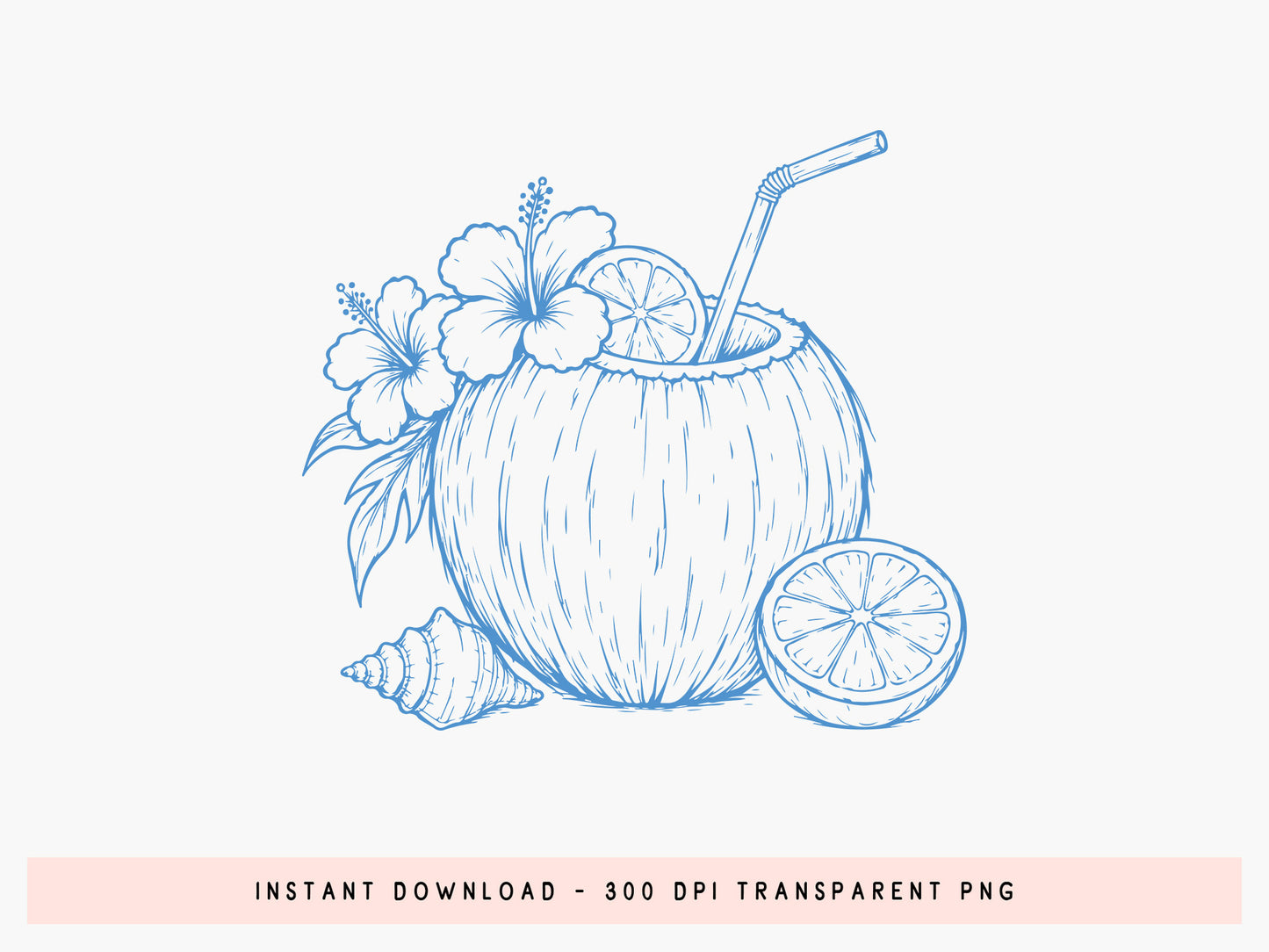 Coastal Seashell Floral Coconut Summer PNG