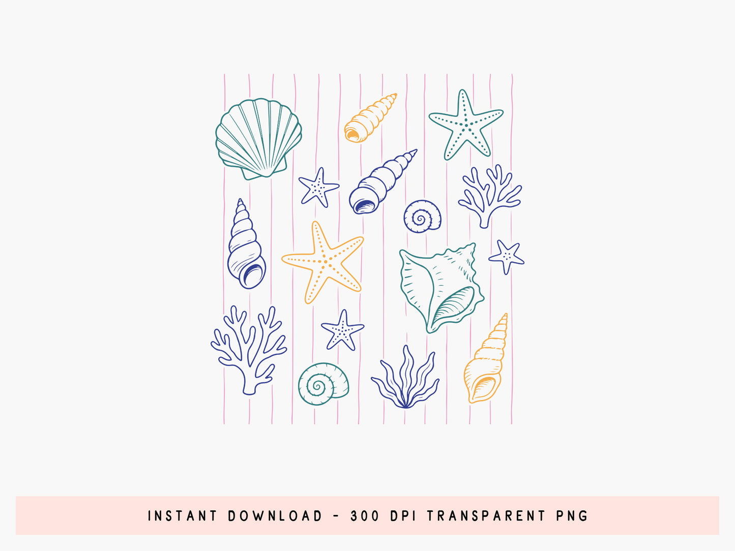 Coastal Seashell Starfish Coral Summer Clipart
