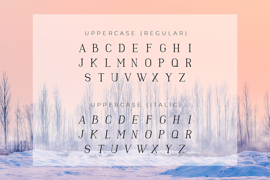 Derious - A Delicate New Serif Font