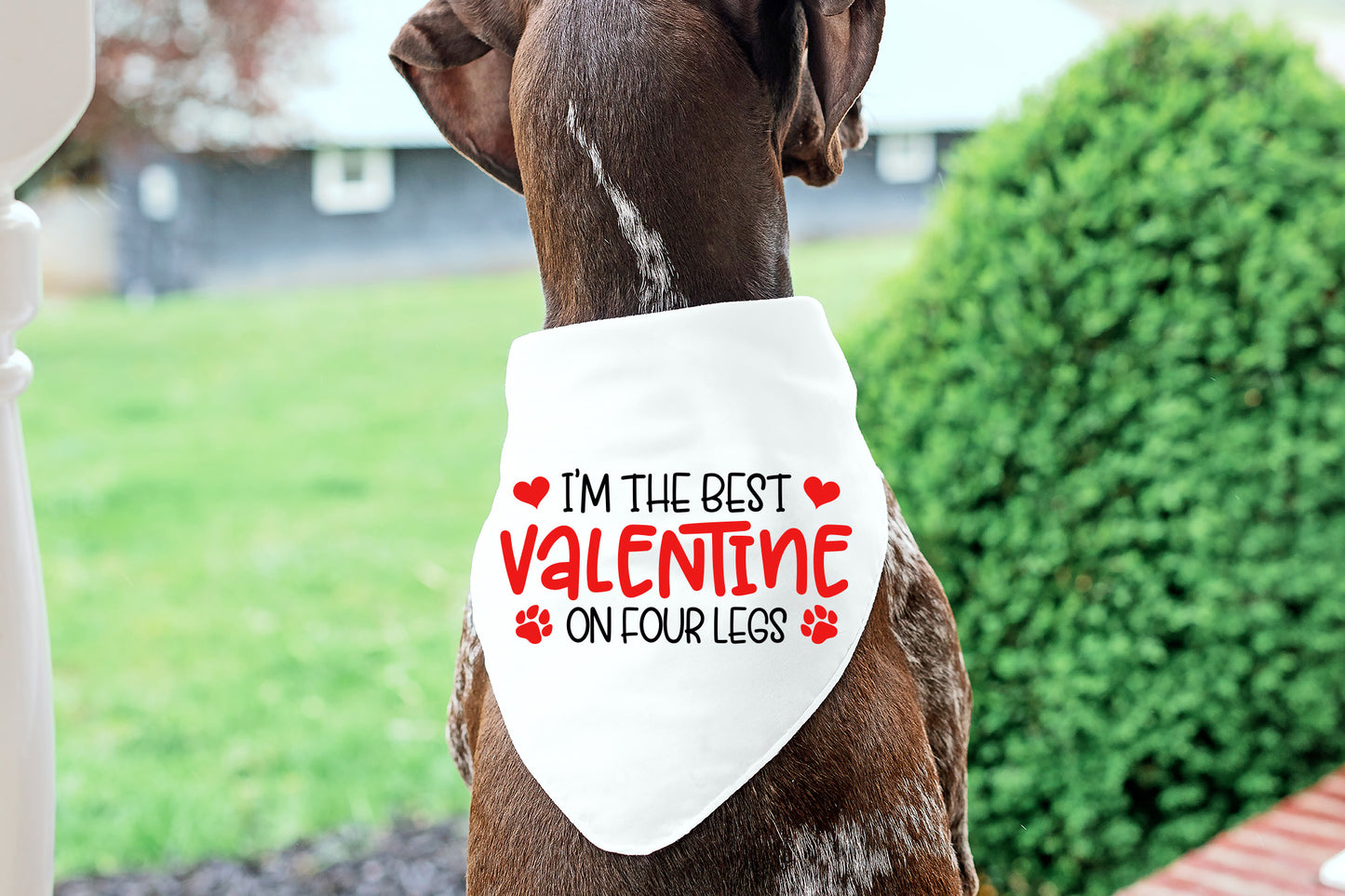 Dog I'm the Best Valentine on Four Legs SVG