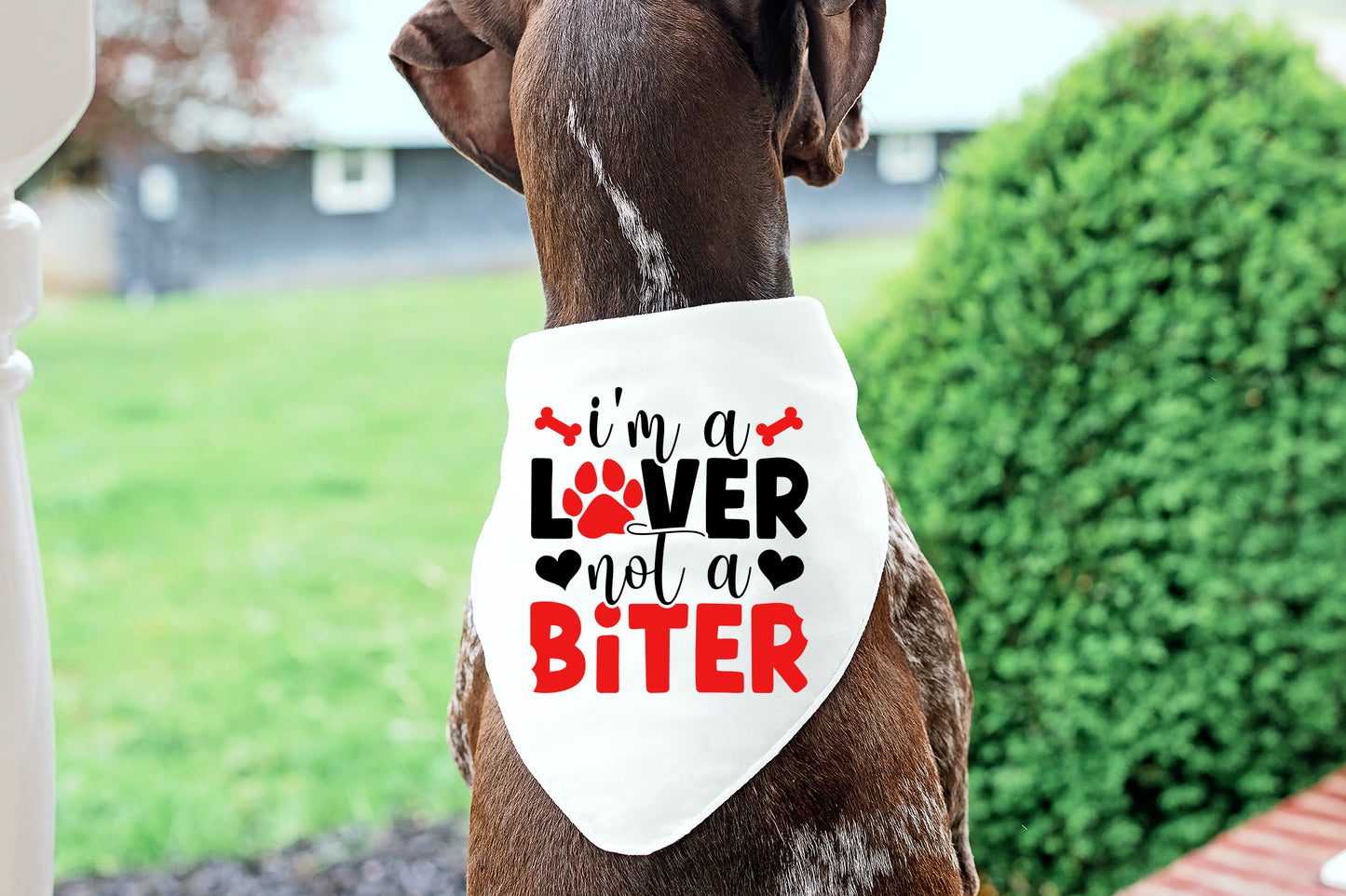 Dog Valentines SVG - I'm a Lover Not a Biter