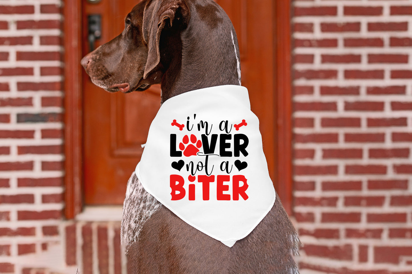 Dog Valentines SVG - I'm a Lover Not a Biter