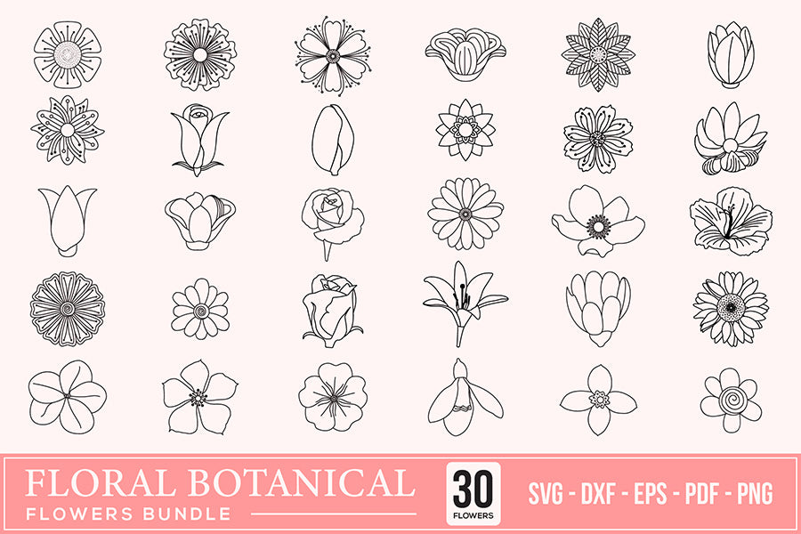 Floral Botanical Leaves & Flowers SVG Bundle