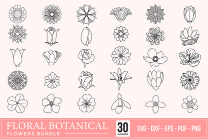 Floral Botanical Leaves & Flowers SVG Bundle