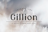 Gillion - A Delicate New Serif Font