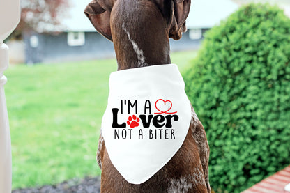 I'm A Lover Not A Bitter - Valentine Dog SVG Vector