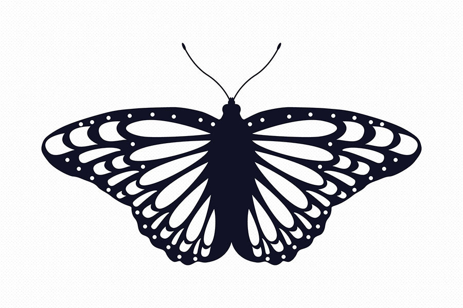Layered Butterfly SVG Clipart Bundle