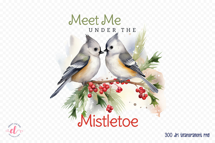 Meet Me Under the Mistletoe - Winter Sublimation Designs