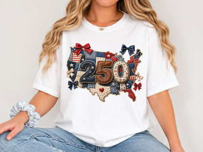 Patchwork 250th Anniversary USA Map PNG