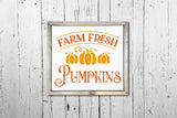 Farm Fresh Pumpkins | Fall Sign SVG