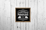 Vintage Pumpkin Sign SVG, Handpicked Farm Fresh Pumpkins