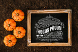Vintage Halloween SVG - Sanderson Sisters Hocus Pocus Co
