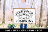 Farm Fresh Pumpkins SVG | Fall Sign SVG