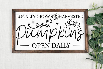 Fall Sign SVG, Locally Grown & Harvested Pumpkins