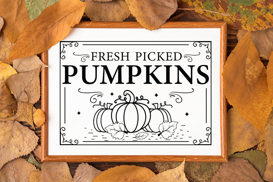 Fresh Picked Pumpkins SVG, Fall Sign SVG