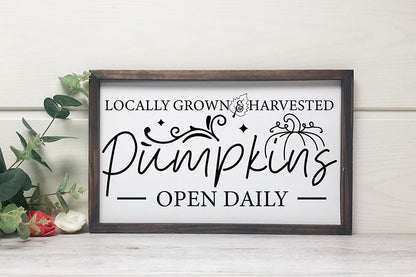 Fall Sign SVG, Locally Grown & Harvested Pumpkins