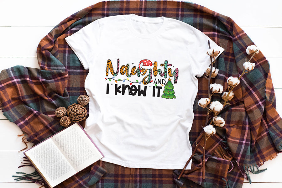 Naughty and I Know It | Funny Christmas PNG