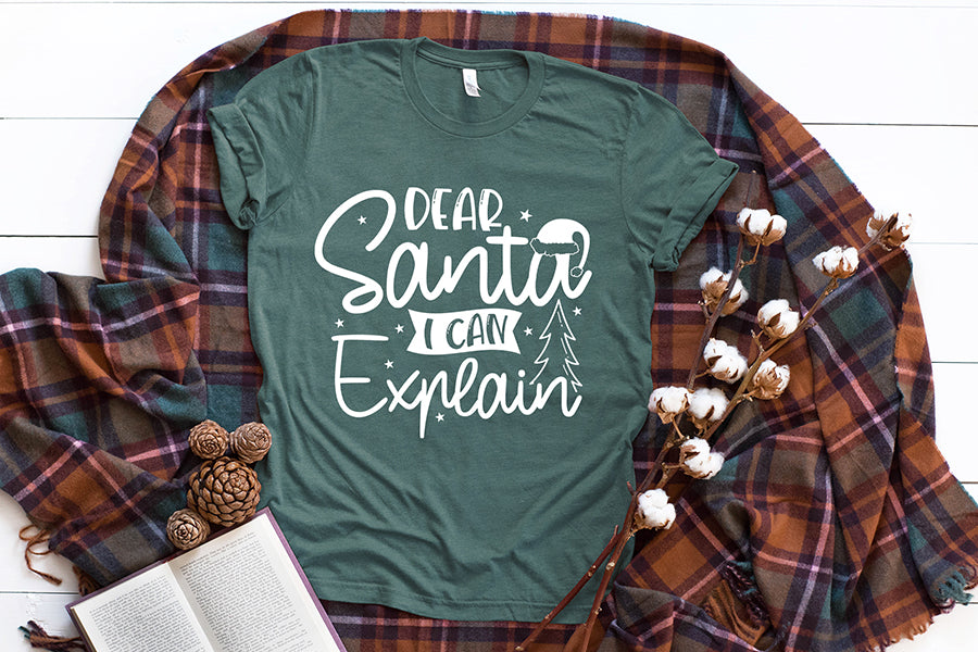 Christmas SVG, Dear Santa I Can Explain