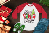 Funny Christmas PNG - Dear Santa I Really Tried